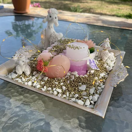 Rock House Semesterbostad Ambelokipoi (Zakynthos)