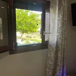 Rock House *