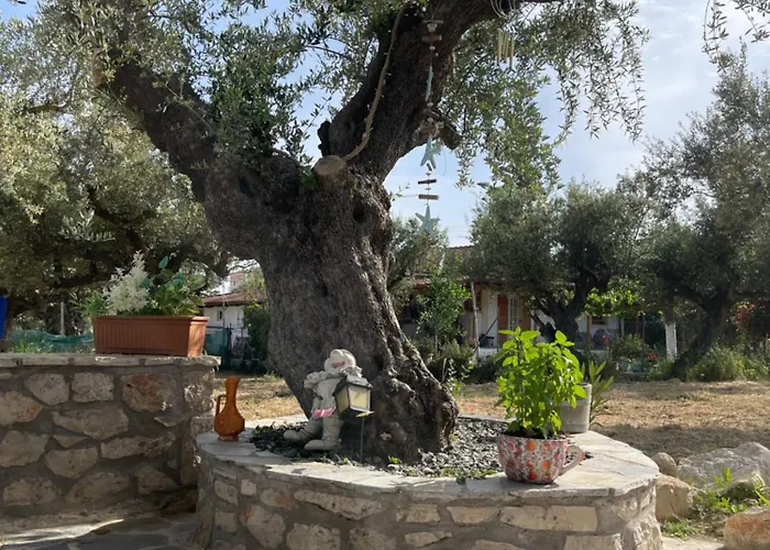 Casa vacanze Rock House Ambelokipoi (Zakynthos)