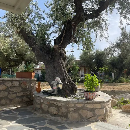 بيت للعطل Rock House Ambelokipoi (Zakynthos)
